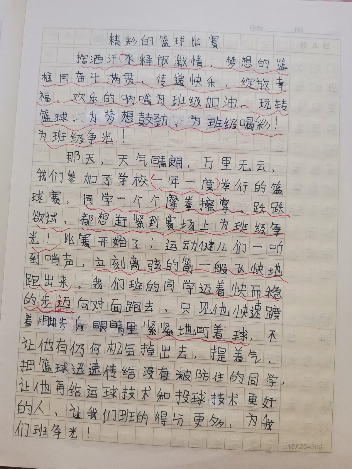 篮球训练作文500字